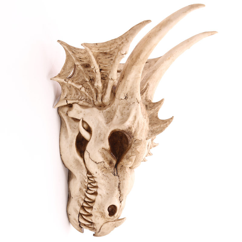 Large Dragon Skull Decoration DRG390