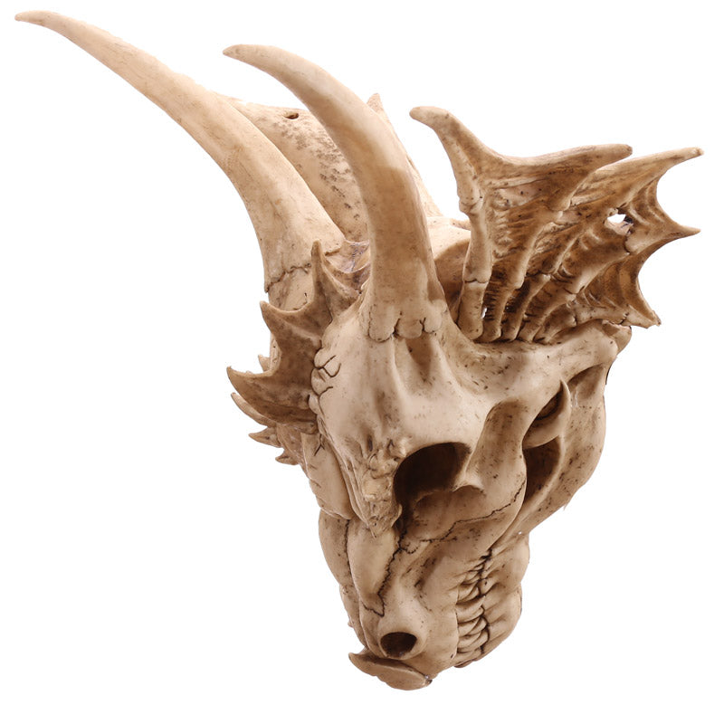 Large Dragon Skull Decoration DRG390