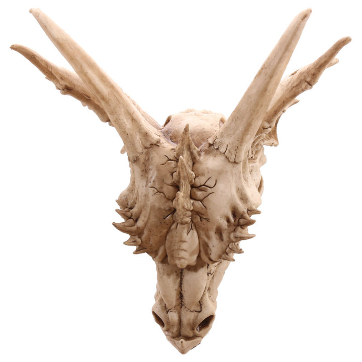 Large Dragon Skull Decoration DRG390