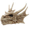Dragon Skull Decoration DRG431