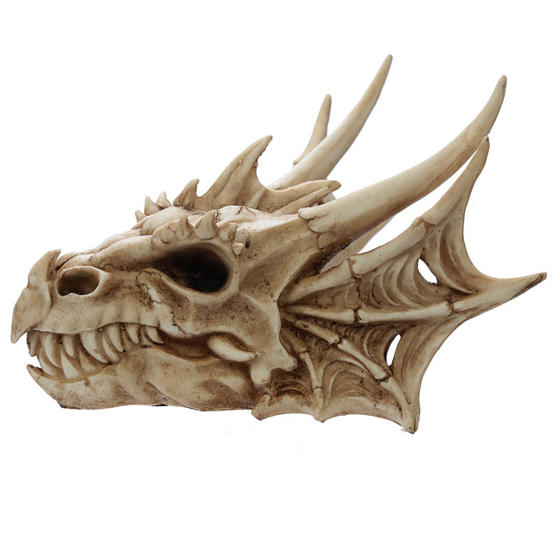 Dragon Skull Decoration DRG431