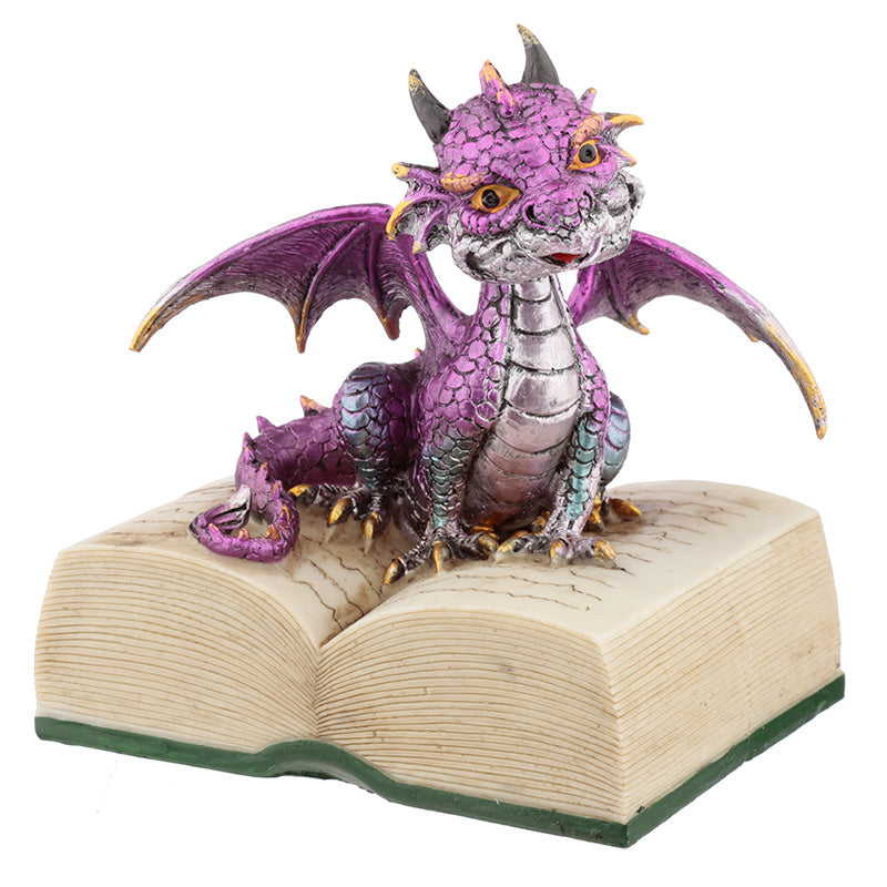 Elements Dragon with Book DRG458