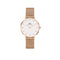 Daniel Wellington Petite Melrose 32mm White Rose Gold Mesh Watch DW00100163