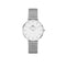 Daniel Wellington Petite Sterling 32mm White Silver Mesh Watch DW00100164