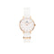 Daniel Wellington Petite Dover 28mm White Rose Gold NATO Watch DW00100313