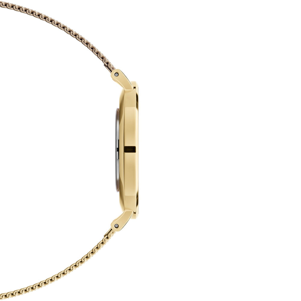Daniel Wellington Petite Evergold 36mm White Gold Mesh Watch DW00100346
