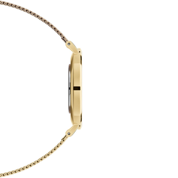 Daniel Wellington Petite Evergold 36mm White Gold Mesh Watch DW00100346