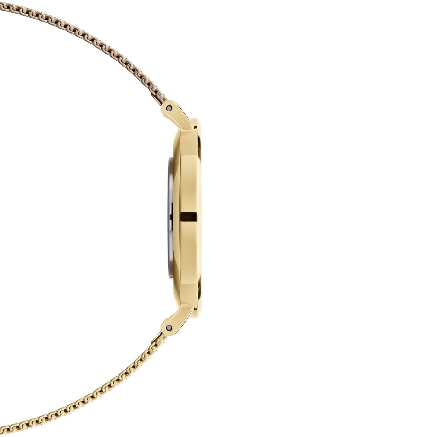 Daniel Wellington Petite Evergold 36mm White Gold Mesh Watch DW00100346