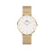 Daniel Wellington Petite Evergold 36mm White Gold Mesh Watch DW00100346