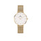 Daniel Wellington Petite Evergold 32mm White Gold Mesh Watch DW00100348