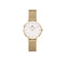 Daniel Wellington Petite Evergold 28mm White Gold Mesh Watch DW00100350