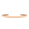 Daniel Wellington Classic Unisex Rose Gold Bracelet