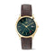Daniel Wellington GMT watch with a gold-tone case, dark green dial, and brown leather strap, shown on a white background.