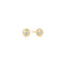 Ania Haie Gold Textured Bezel-Set Stud Earrings E072-01G