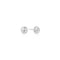 Ania Haie Silver Shell Pearl & Bezel-Set Sparkle Bracelet B075-01H