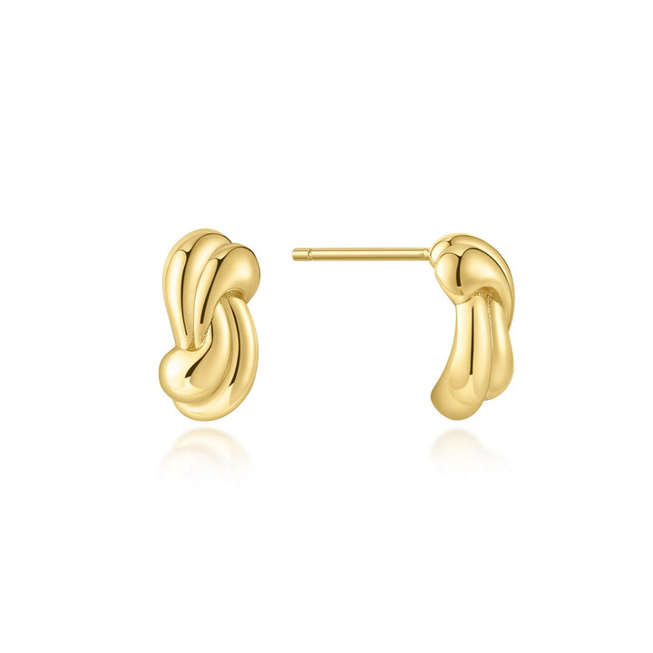 Ania Haie Swan Lake Gold Rope Twist Stud Earrings E077-01G