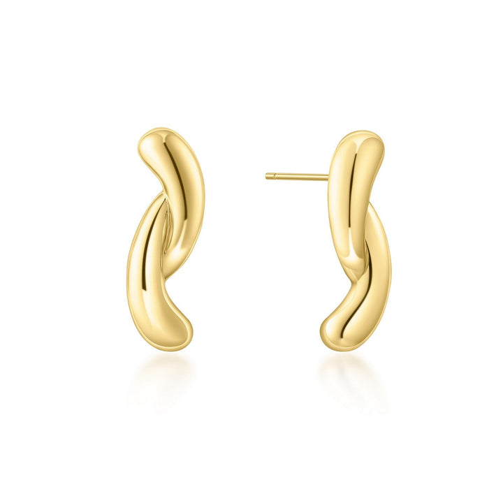 Ania Haie Swan Lake Gold Twist Stud Earrings E077-05G