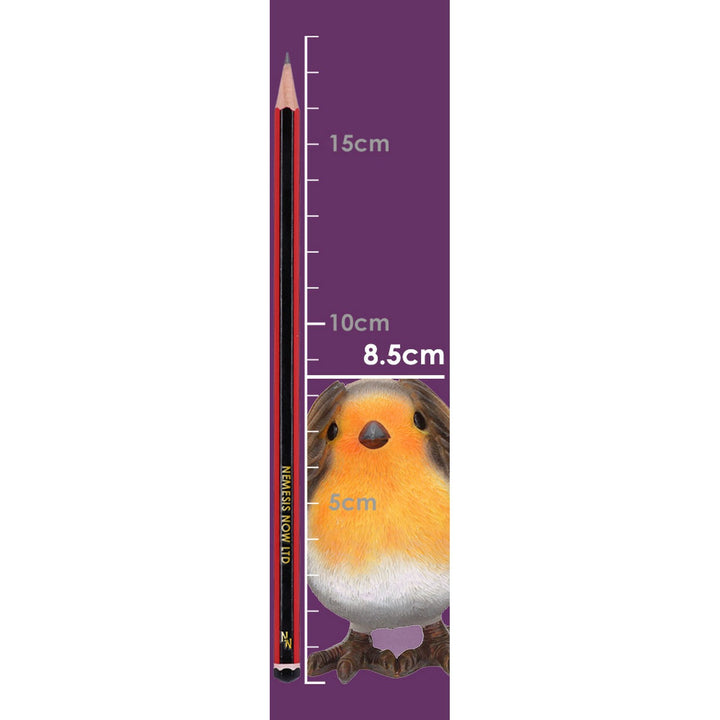 Three Wise Robin Figurines 8cm E4572N9
