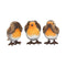 Three Wise Robin Figurines 8cm E4572N9