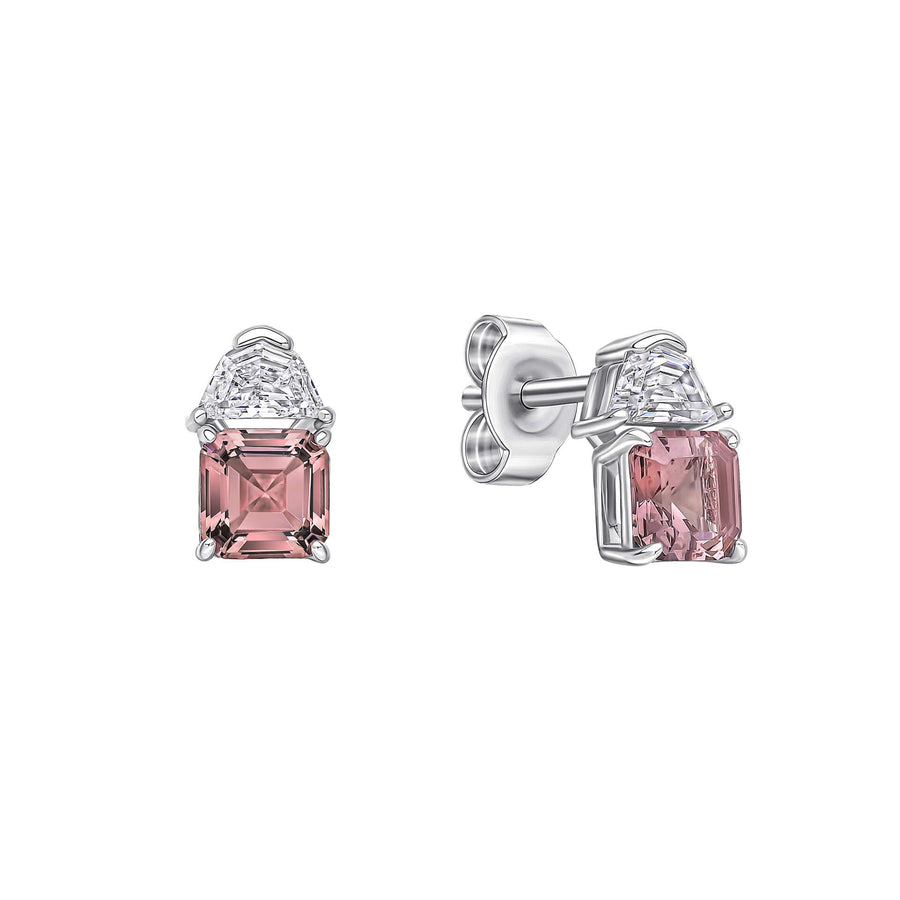 Diamonfire Clear Morganite Cubic Zirconia Everyday Princess Cut Earrings E6704