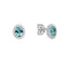 Diamonfire Clear Parabia Cubic Zirconia Timeless Brilliant Cut Earrings E6707