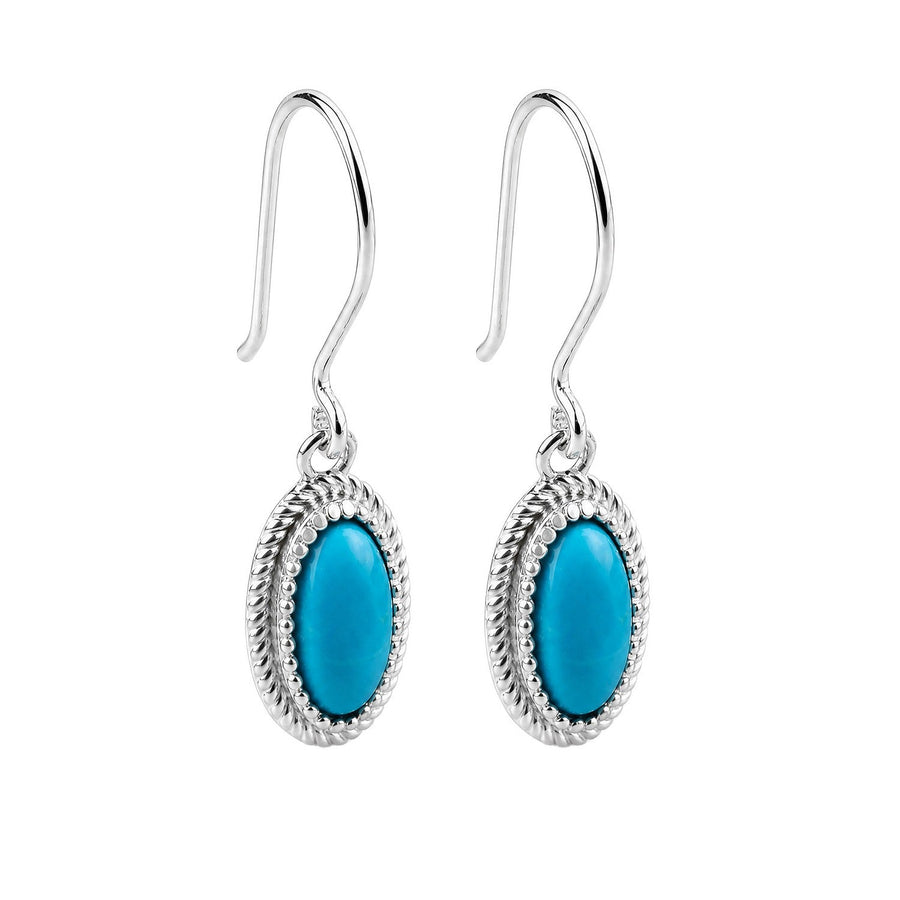 Beginnings Sterling Silver Blue Magnesite Earrings E6804T