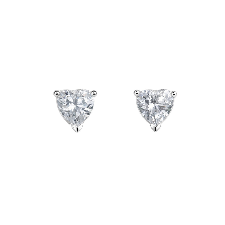Beginnings Sterling Silver Cubic Zirconia Earrings E6827C