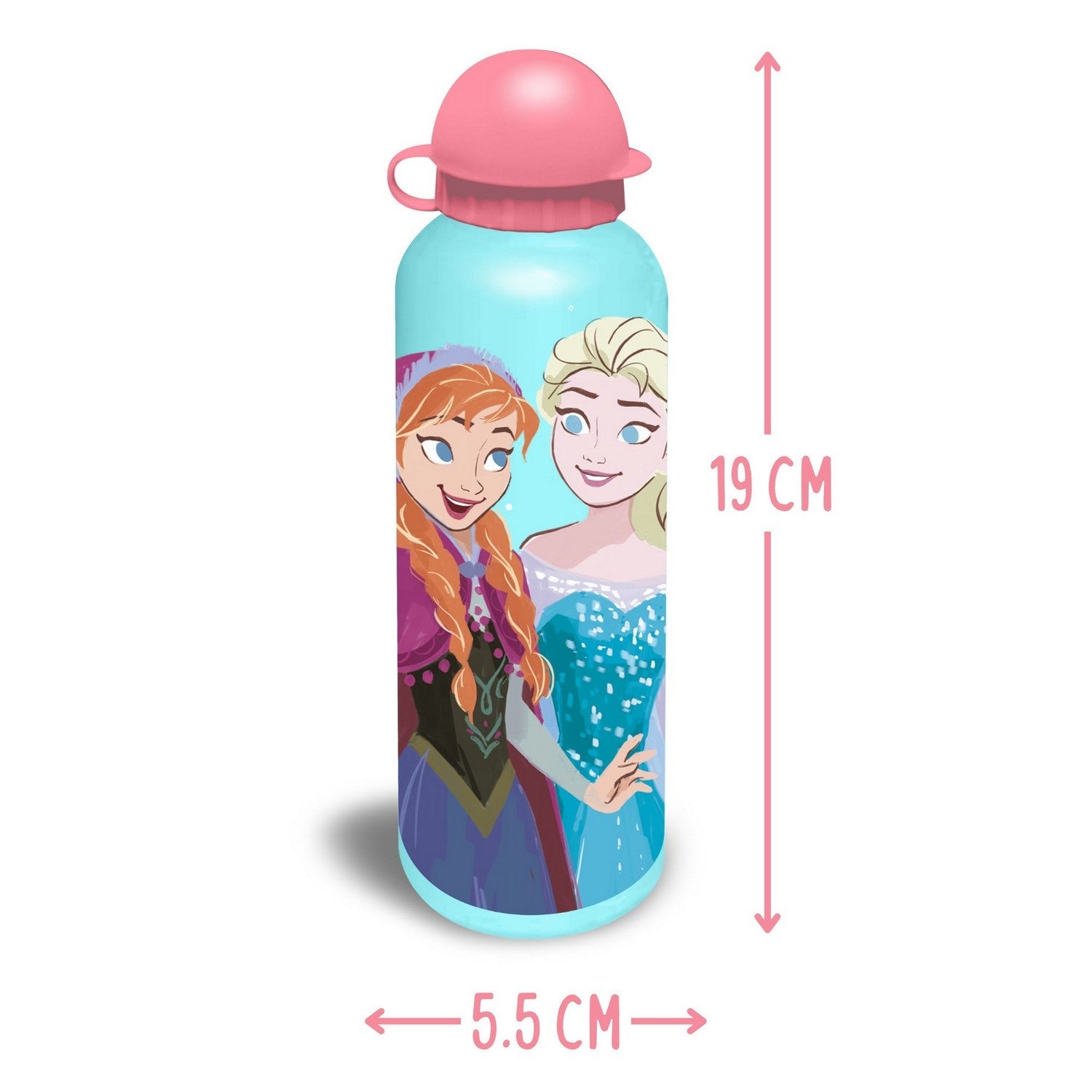 Disney 2 Piece Lunch Box + Aluminium Canteen 500Ml Frozen FR50009