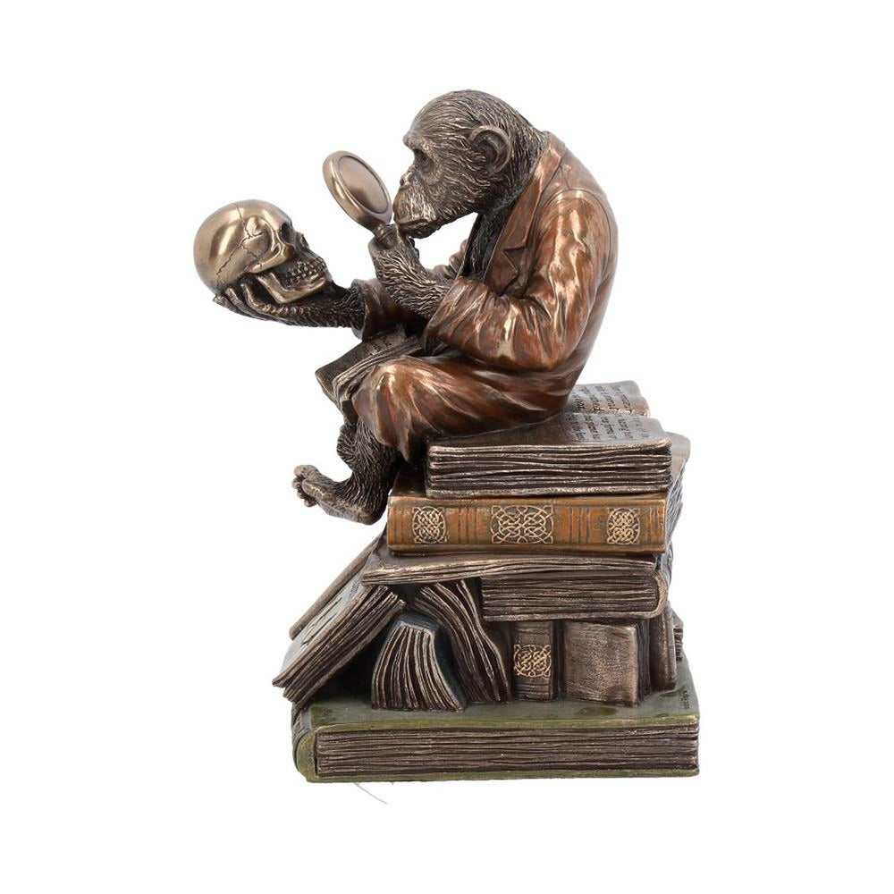 Darwinism of Evolutionary Theory Figurine Charles Darwin Chimpanzee Ornament G0037A3
