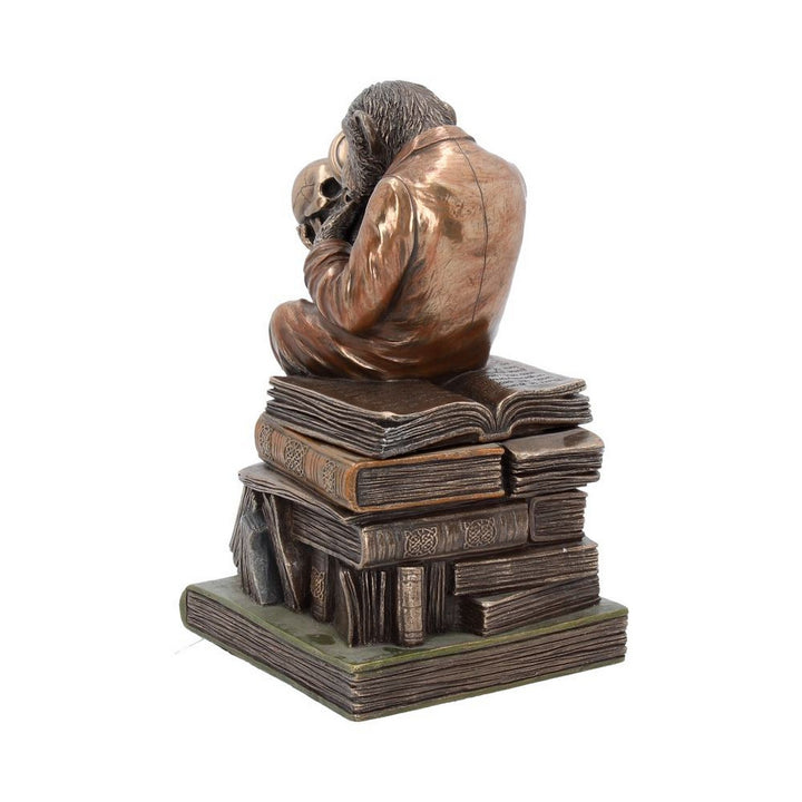 Darwinism of Evolutionary Theory Figurine Charles Darwin Chimpanzee Ornament G0037A3