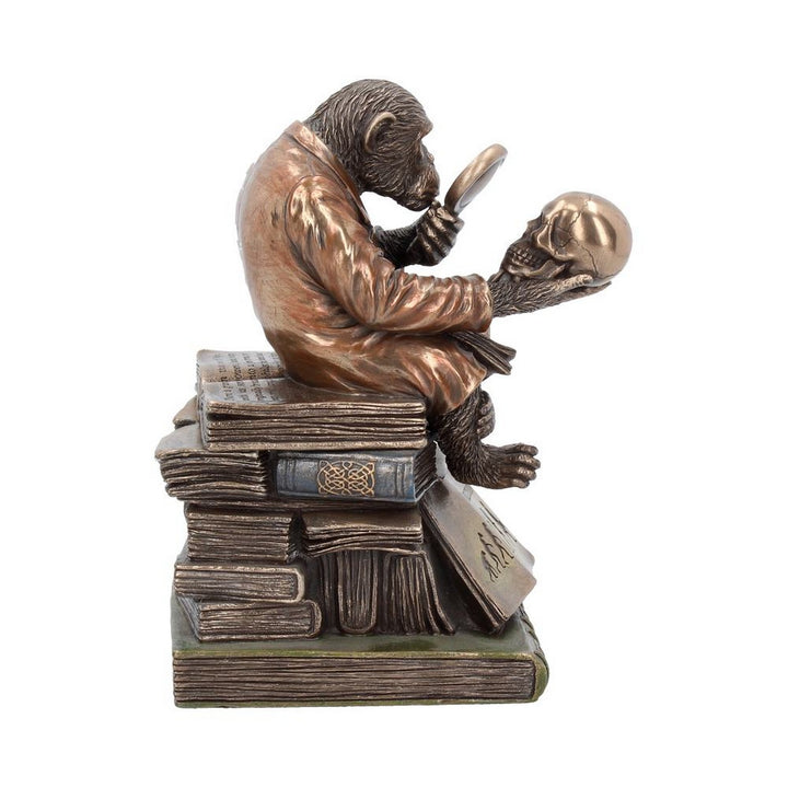 Darwinism of Evolutionary Theory Figurine Charles Darwin Chimpanzee Ornament G0037A3