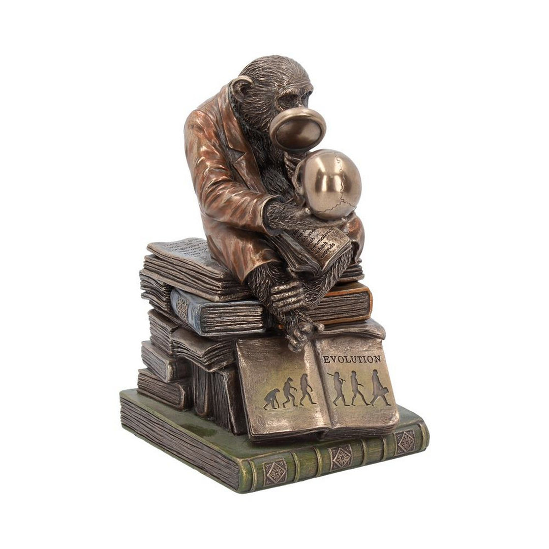 Darwinism of Evolutionary Theory Figurine Charles Darwin Chimpanzee Ornament G0037A3