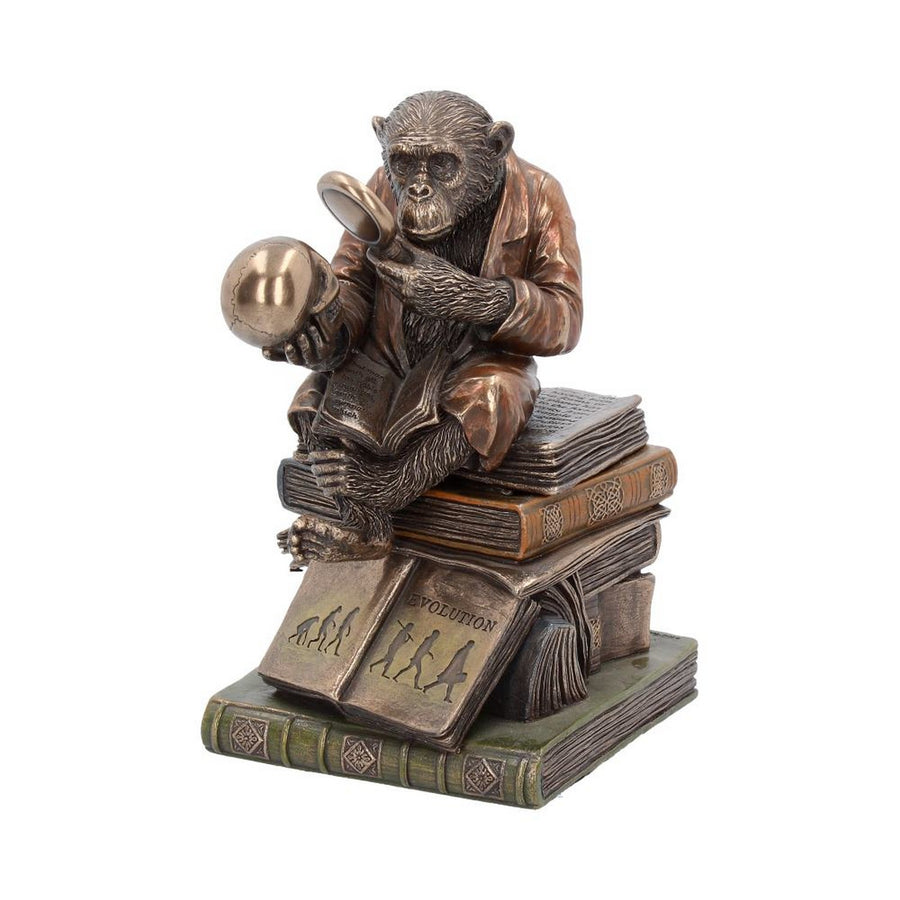 Darwinism of Evolutionary Theory Figurine Charles Darwin Chimpanzee Ornament G0037A3