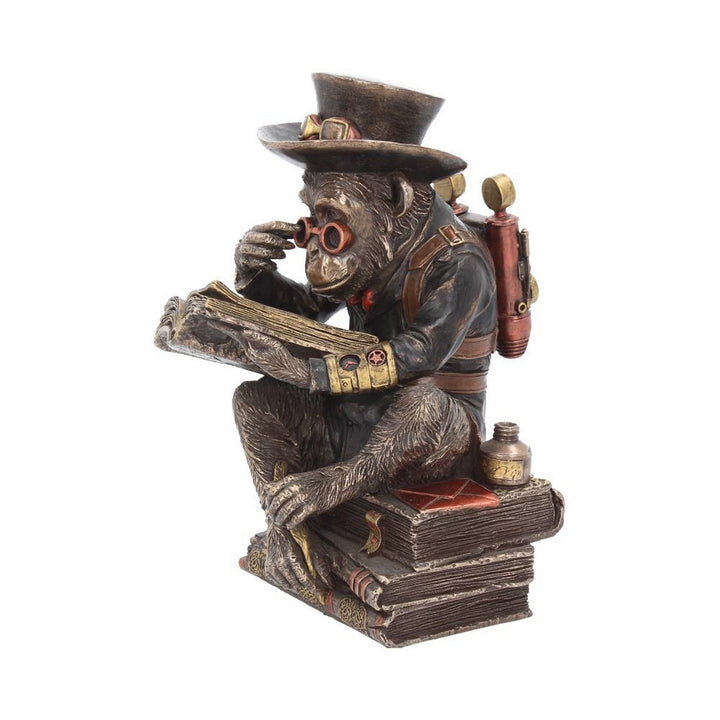 Steampunk Chimpanzee Scholar Figurine 19.5cm G1992F6