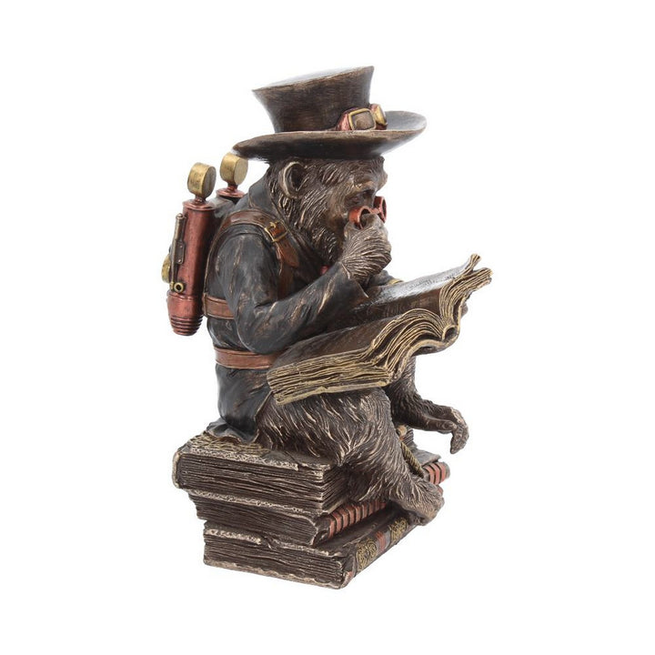 Steampunk Chimpanzee Scholar Figurine 19.5cm G1992F6