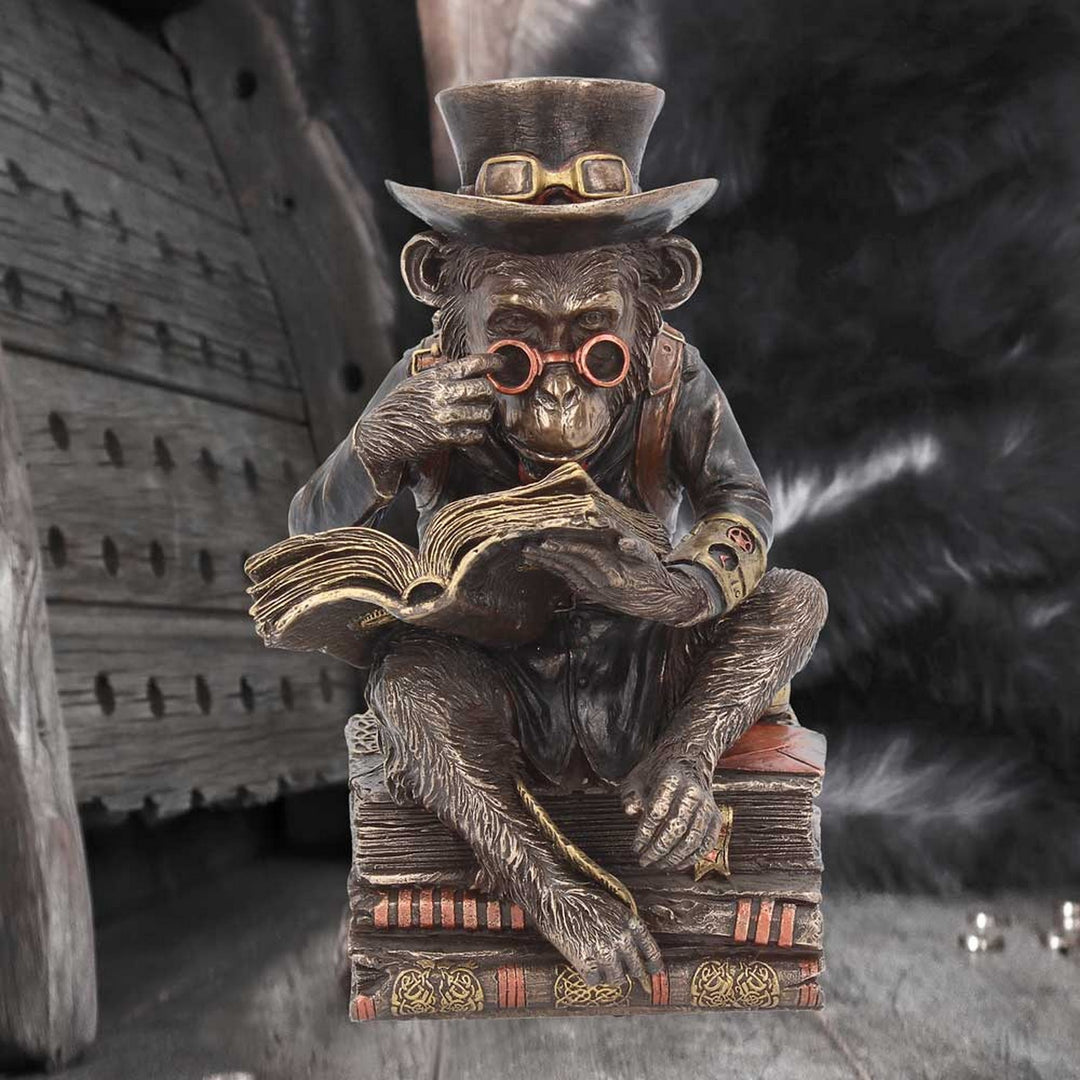 Steampunk Chimpanzee Scholar Figurine 19.5cm G1992F6