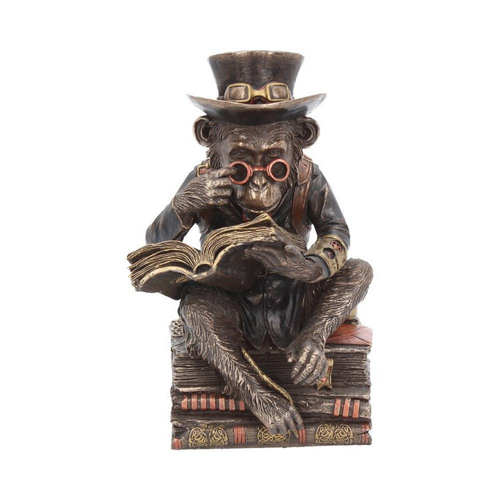Steampunk Chimpanzee Scholar Figurine 19.5cm G1992F6
