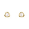 9ct Yellow Gold Pearl Earrings GE2499W