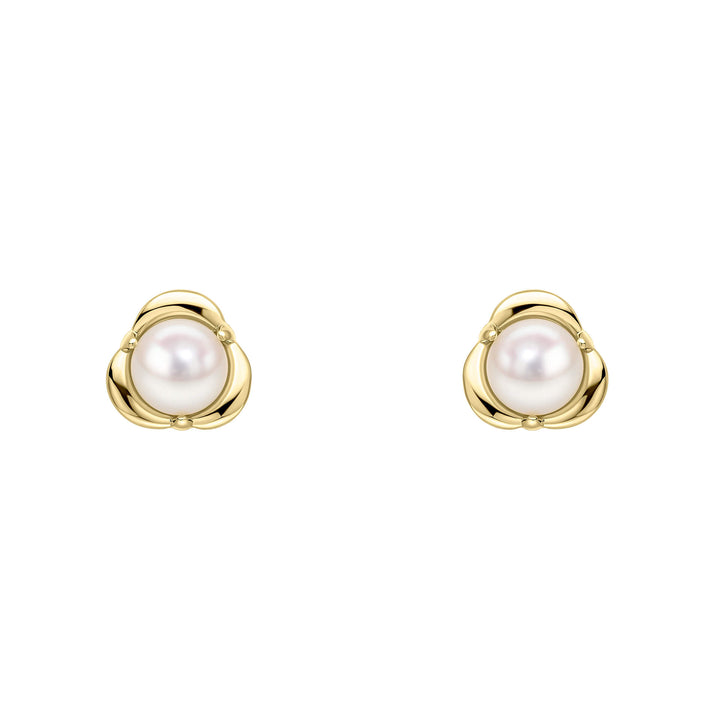 9ct Yellow Gold Pearl Earrings GE2499W
