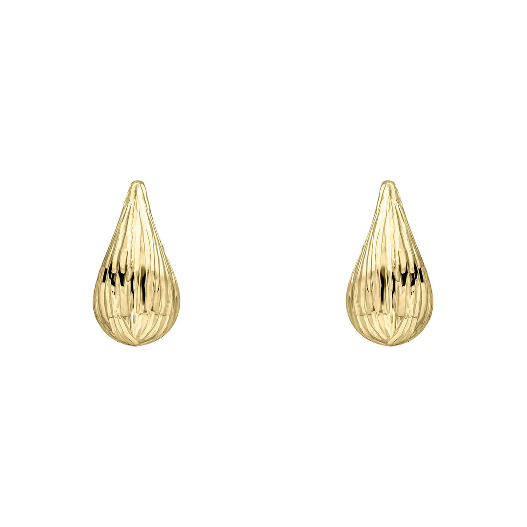 9ct Yellow Gold Earrings GE2500