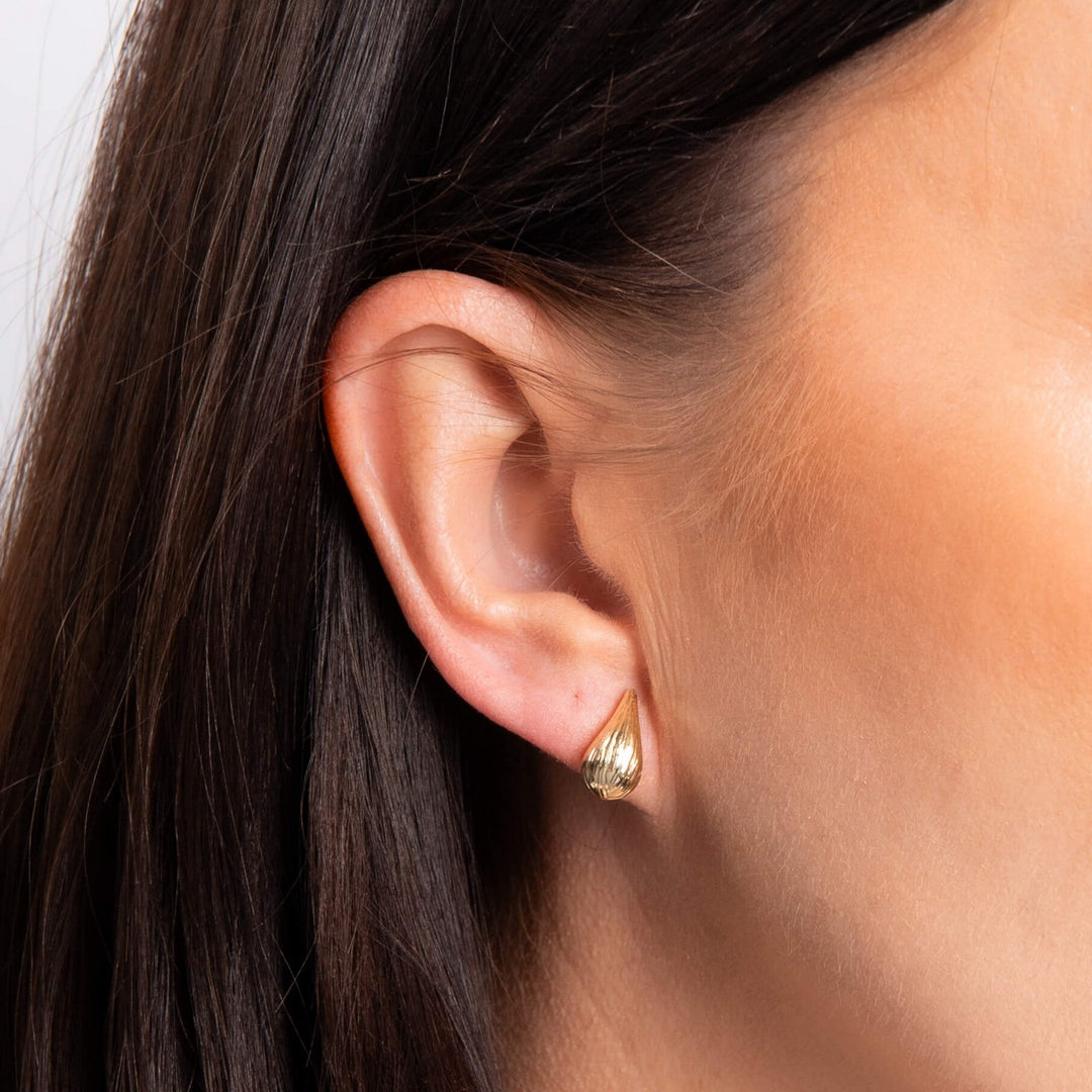 9ct Yellow Gold Earrings GE2500