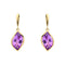 9ct Yellow Gold Amethyst Earrings GE2516M