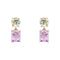 9ct Yellow Gold Green Quartz and Rose De France Amethyst Earrings GE2518G