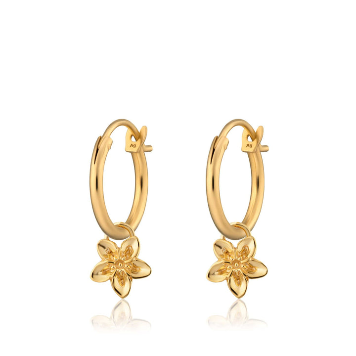 Gold Forget Me Not Flower Charm Hoop Earrings CHECGFMN-MINI