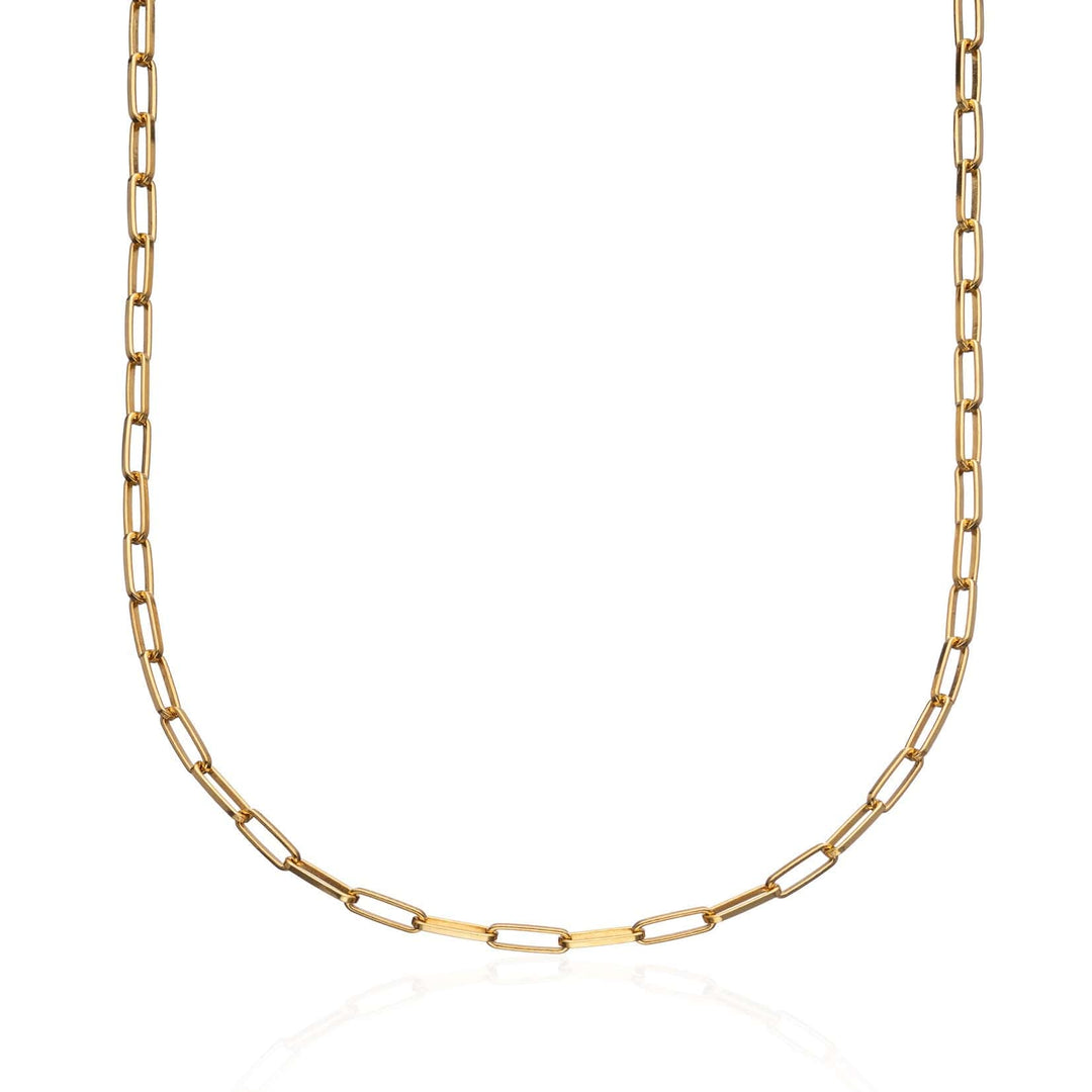 Gold Plated Box Link Chain Necklace CHGBL