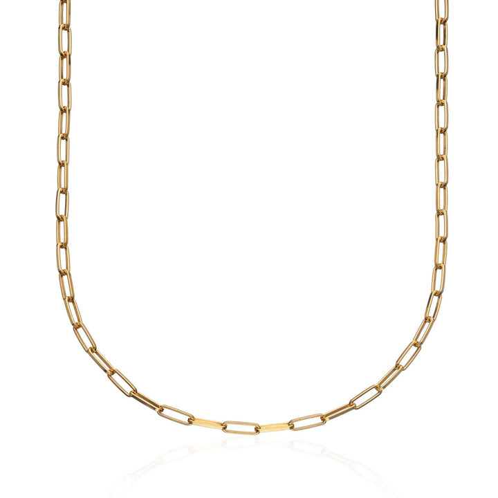 Gold Plated Box Link Chain Necklace CHGBL