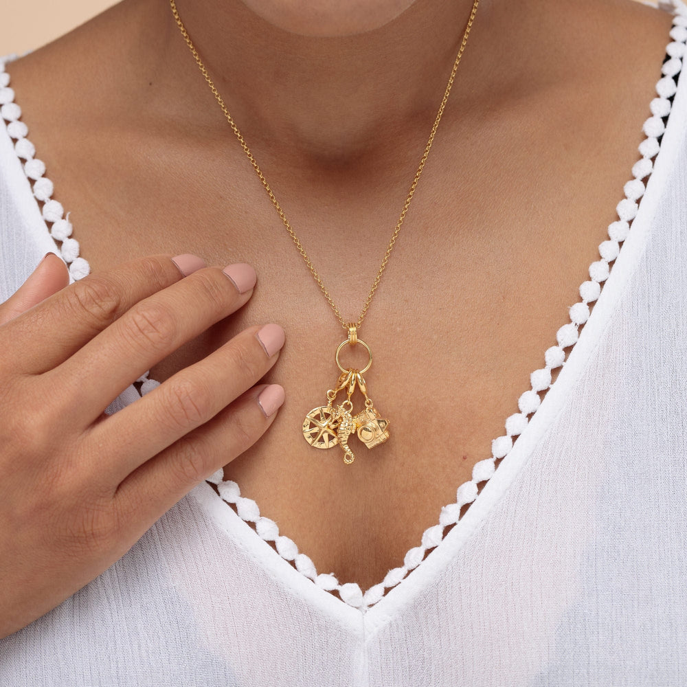 Gold Plated Charm Capture Necklace CNGCHCAP-1