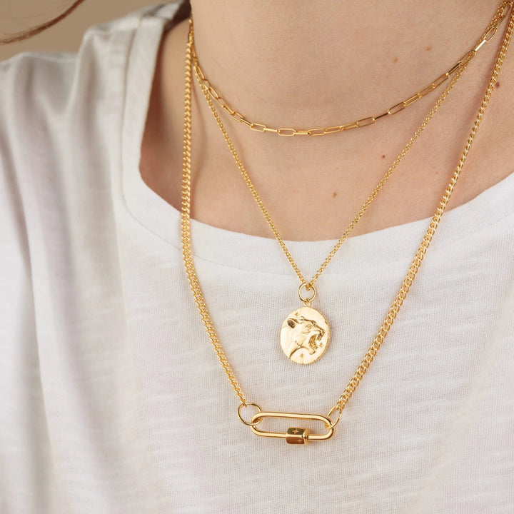 Gold Plated Long Link Carabiner Charm Lock CGLLCAR