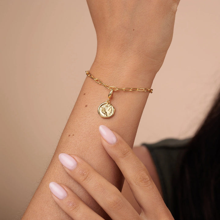 Gold Plated Manifest Charms CGMANCH