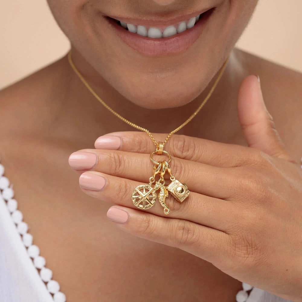 Gold Plated Seahorse Charm CGSEA